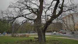 strom1 jn IMG 20230428 170008